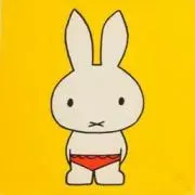 ゆこさん