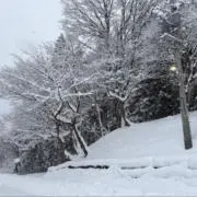 サカ