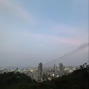 こうたいの画像