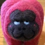 カメ吉の画像