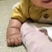 つぶあんの画像