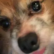 Mの画像