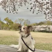 はっちゃん
