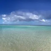 AKIの画像