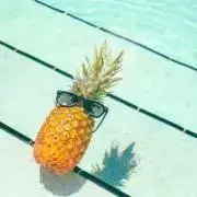 pineappleの画像