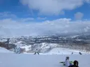 ナオの画像