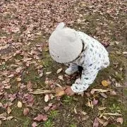 miiの画像