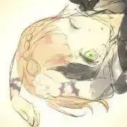 みかんの実の画像