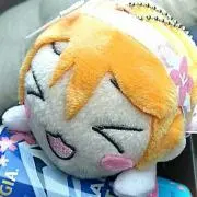 ぽちの画像