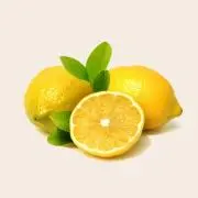 れもん堂の画像