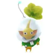 華の画像
