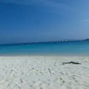 Riの画像