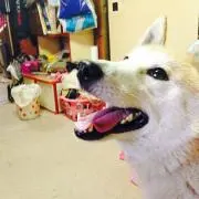 かこ