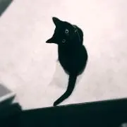 72kの画像