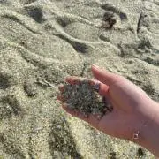 aの画像