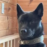 もるはち