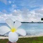 ⭐️断捨離ミニマリスト⭐️の画像
