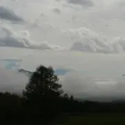 リス