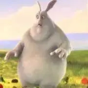 わふの画像