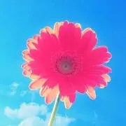音芭