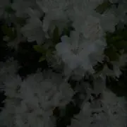 anの画像