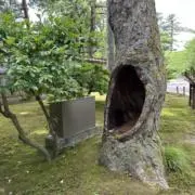 まーごん