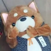 秋三の画像