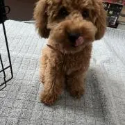 まさ