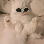 気分の画像