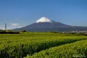 最果ての万屋「古場」の画像