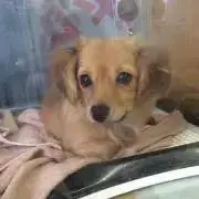 プロフ必読の画像