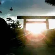 ぞろの画像