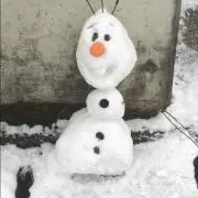 みーたん1228の画像