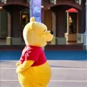 ぷーの画像