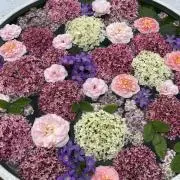芋子