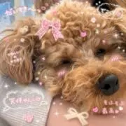 りあ ♡︎ᵎᵎᵎの画像
