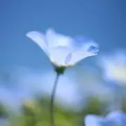 ☆ぁず☆