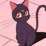 suuの画像