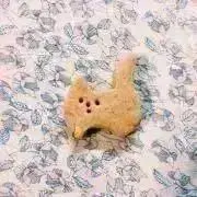 sandyの画像