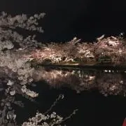 ロニー
