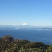 さむそんの画像