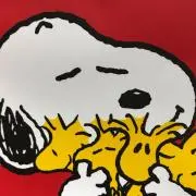KaSuMiの画像