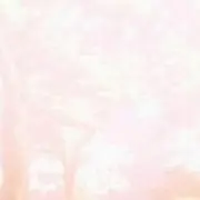 星野の画像