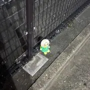 たは