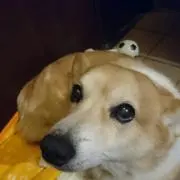 明日晴れの画像