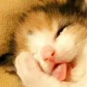 ☆ヤンババ☆