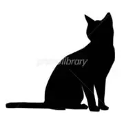 猫家キャット　価格をかなり抑えて出品！の画像
