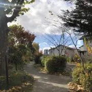 yoyoの画像