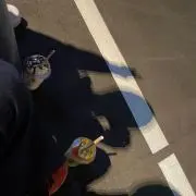 ぱんけーき