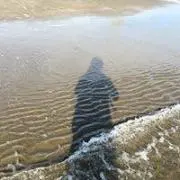 福BOOKSの画像